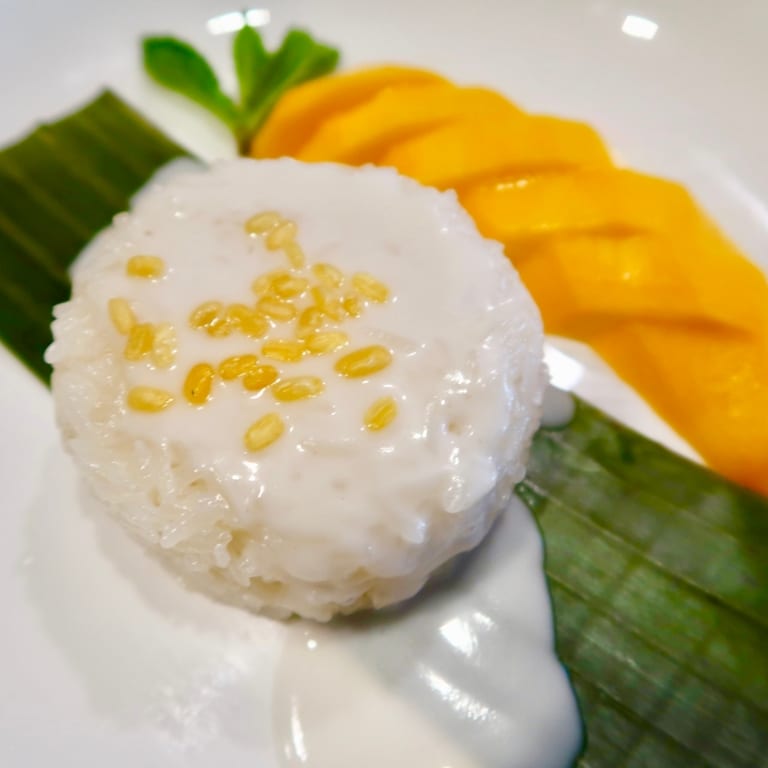 Mango Sticky Rice Delight